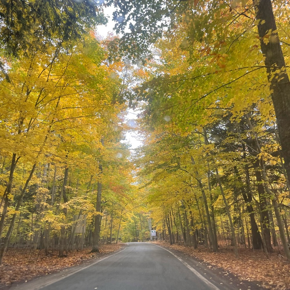 Meet your Posher, Rosanna